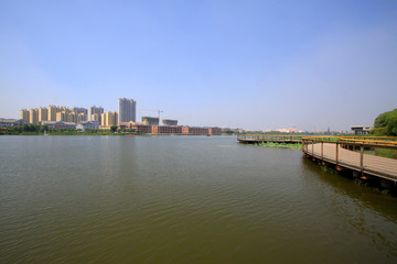 Fototapeta premium bridges and buildings