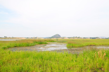 beautiful natural scenery in the WuLanBuTong grassland, China