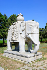 Stone elephant in the Eastern Royal Tombs of the Qing Dynasty, china