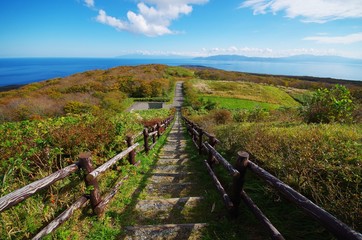 Fototapeta na wymiar 奥尻の球島山からの眺め
