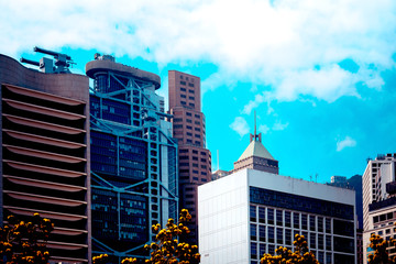 office building closeup and tree, business concept