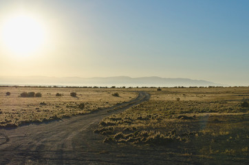 Obraz premium The lone dirt road heading off into the yellow desert sunlight. 