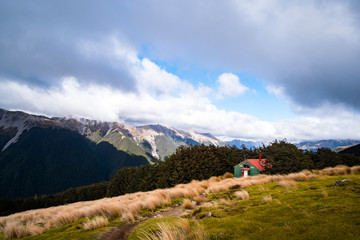 Fototapeta na wymiar Grass mountain, Mount Robert, Nelsonlake National Park, Track, Trecking in a cloudy day.