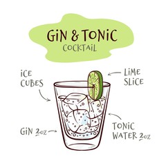 Vector illustration of gin and tonic cocktail recipe with proportions of ingredients in sketch style - hand drawn glass with ice cubes and alcohol drink isolated on white background. - obrazy, fototapety, plakaty
