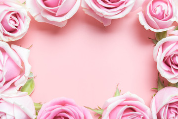 Fototapeta na wymiar pink rose flowers frame on pink