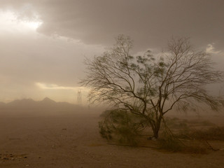 middle of sandstorm