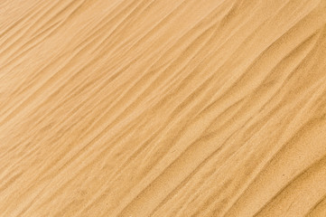 Golden sand lines and dunes
