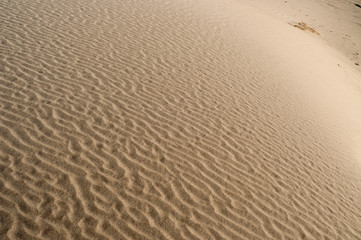 Sand wave dunes texture and backgrounds