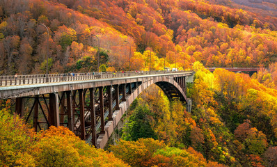 Jogakura Bridge in Aomori Prefecture with Autumn Leaves background. A wonderful view of...