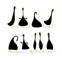 Obraz premium Funny goose set, sketch for your design