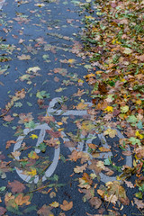 Wet bike path with autumn leaves