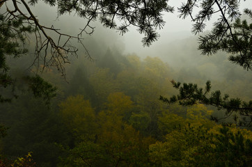 Obraz na płótnie Canvas Foggy Overlook 4