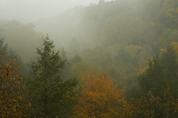 Foggy Overlook 7