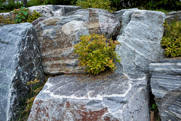 pattern gray color of modern style design decorative uneven cracked real stone wall surface with cement