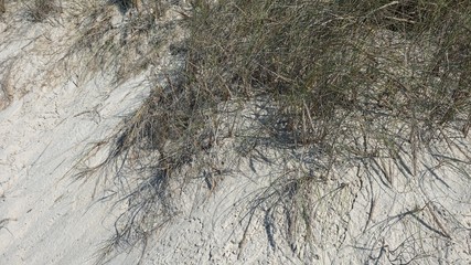 sand dunes of costa nova beach in portugal