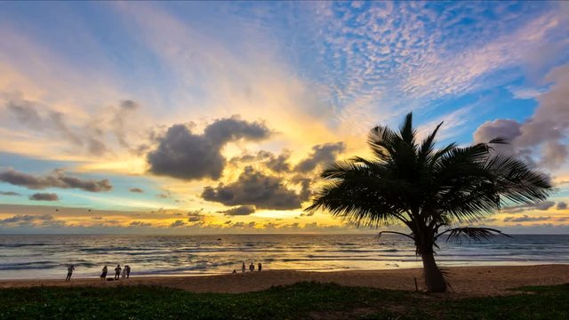 Time lapse video Tree on the beach with Change of Light Colorful sunset with Golden sunlight  or raylight in travel or nature concept 4K or UHD Resolution