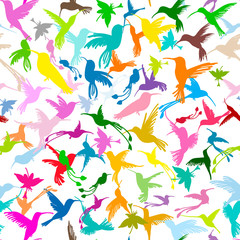 Colibri collection, sketch for your design