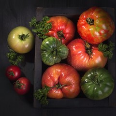 tomatoes and cucumbers