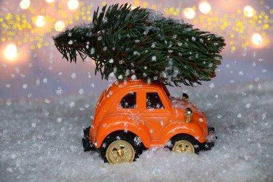 ente trägt einen Weihnachtsbaum auf dem dach