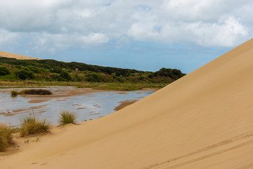 Fototapeta na wymiar Giant sand dunes at Te Paki on the 90 Mile beach