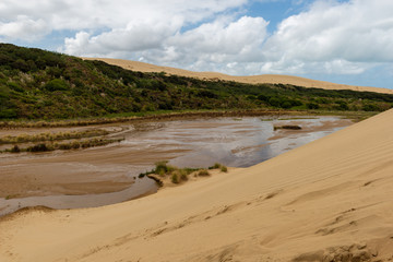 Giant sand dunes at Te-Paki on the 90 Mile beach
