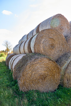 Hay and straw bales in the end of summer, sunny day