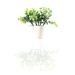 artificial flower bouquets isolate on white background