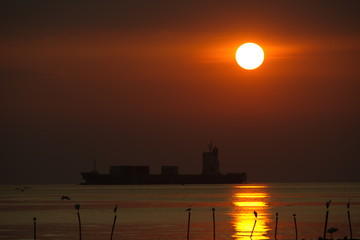 Sunset with seagulls from Samutprakarn province Thailand