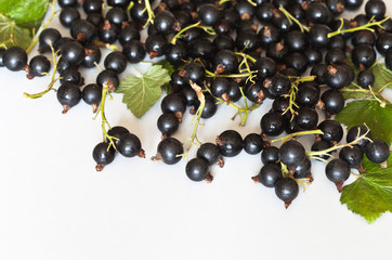 Ripe black currant berries on the stalks and green leaves on a white table. Berry background....