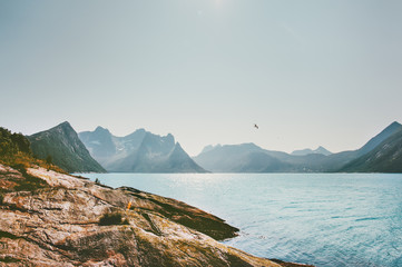 Naklejka premium Mountains and sea landscape in Norway Travel vacations idyllic summer scenery Senja islands