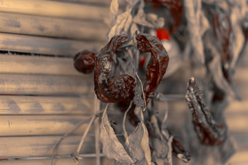 Dry grass and red pepper. Interior details of a village house.
