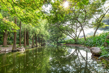Urban Landscape of Shenzhen People's Park