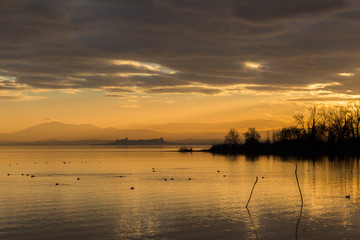 Obraz na płótnie Canvas Beautiful view of Trasimeno lake at sunset with birds on water and Castiglione del Lago town in the background