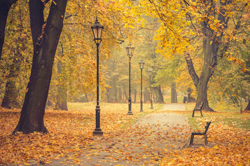 Colorful tree alley with row of lanterns in the autumn park in Krakow, Poland