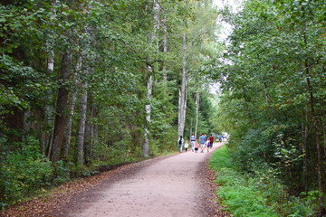 Group of family people adults and children walking on wide path or road in forest park in summer day. Active healthy lifestyle and recreation concept.