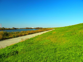 Obraz premium 秋の江戸川風景