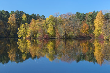 Fototapeta na wymiar Autumn landscape with yellow, red and green trees reflecting in the calm water of a forest lake in the morning