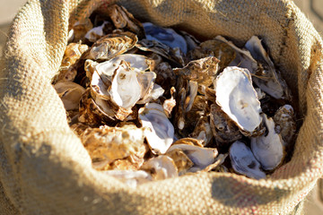 Waste after cooking seafood dishes