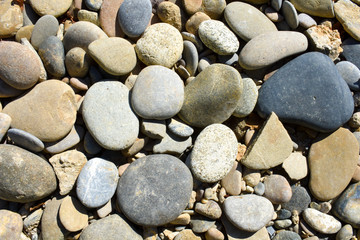 ROUNDED STONES IN A SHORE OF A RIVER