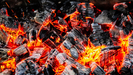 Burning coals of wood as a background
