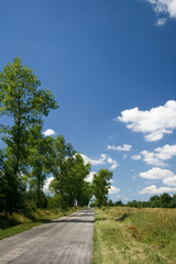 Naklejka premium road in the countryside