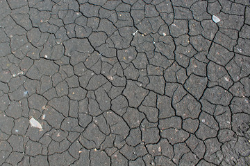 Cracked grey earth as a background and texture