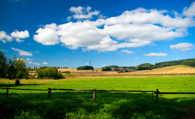 Fototapeta premium landscape with green field and blue sky