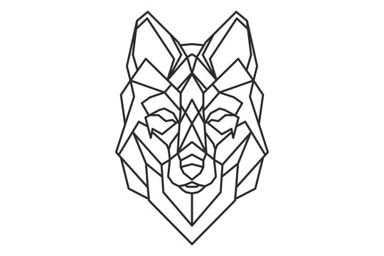 geometric wolf logo or sketch tattoo