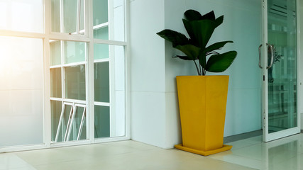 Flowerpot and light in white office