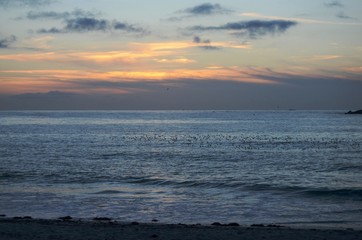 Obraz premium Flight on the water