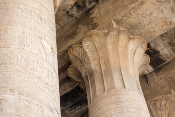 The temple of Horus in Edfu