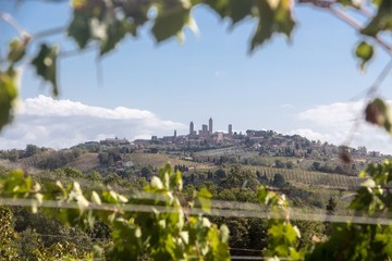 San Gimignano Natürlicher Rahmen Weinreben