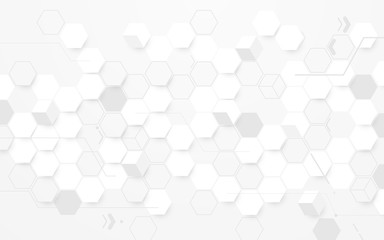Abstract white hexagon geometric background. vector design