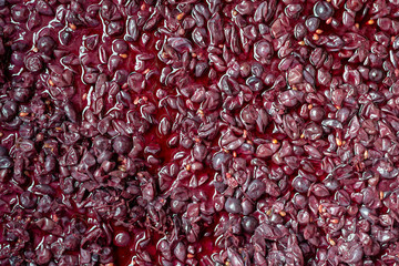 Winemaking. Fermentation of blue grape must.